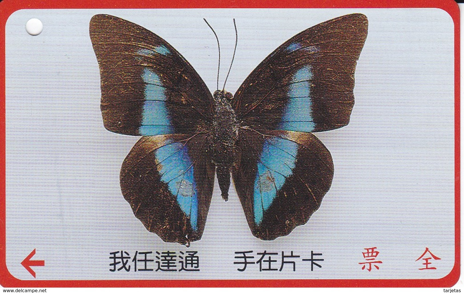 TARJETA DE TAIWAN DE UNA MARIPOSA  (BUTTERFLY) (TICKET TRANSPORTE) - Vlinders