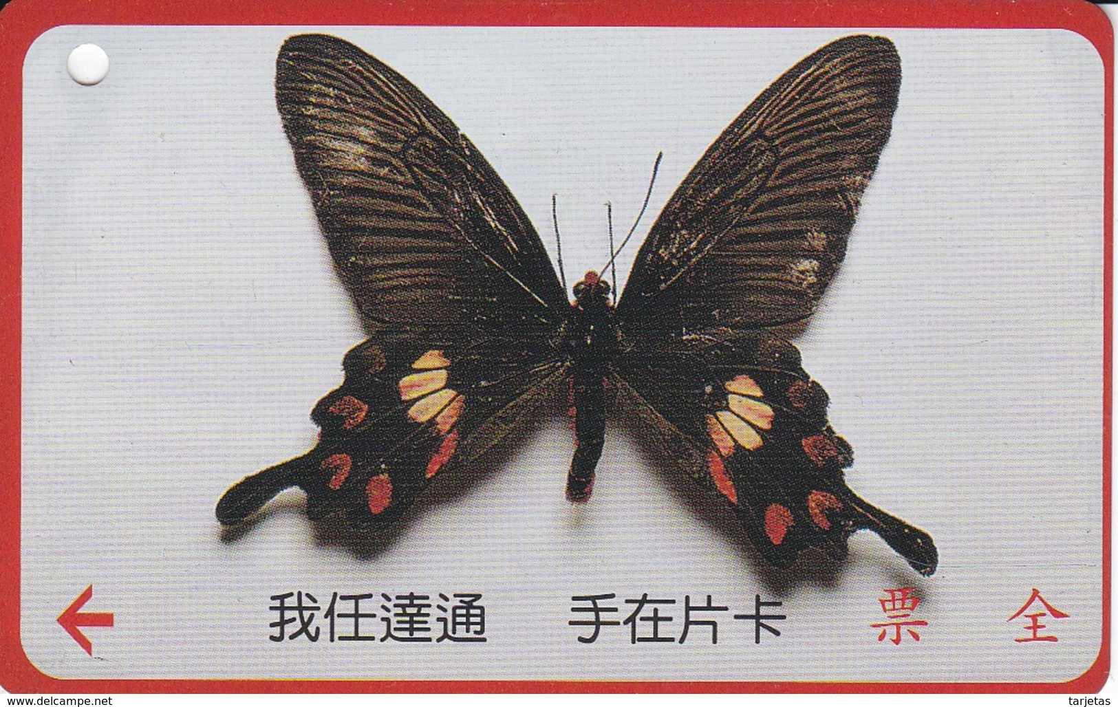 TARJETA DE TAIWAN DE UNA MARIPOSA  (BUTTERFLY) (TICKET TRANSPORTE) - Papillons