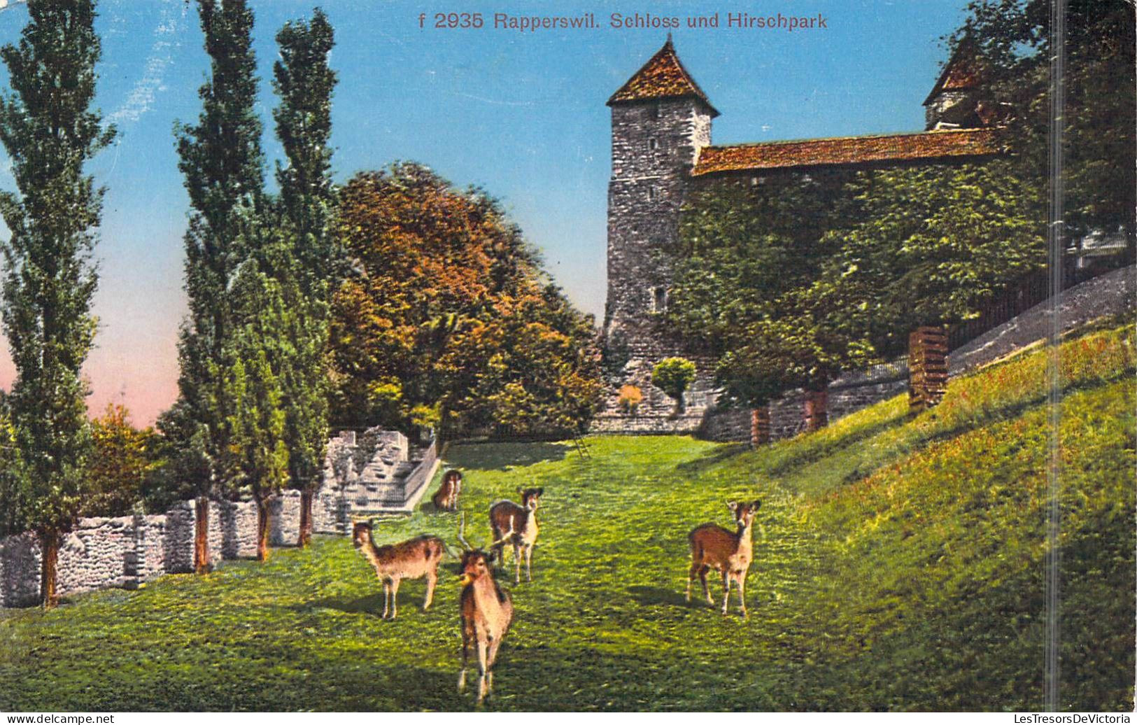 SUISSE - Rapperswil - Schloss Und Hirschpark - Carte Postale Ancienne - Rapperswil