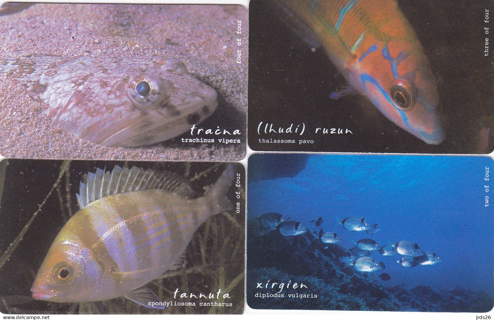 Malta 4 Phonecards Chip  - - - Fishes Complete Series - Malta