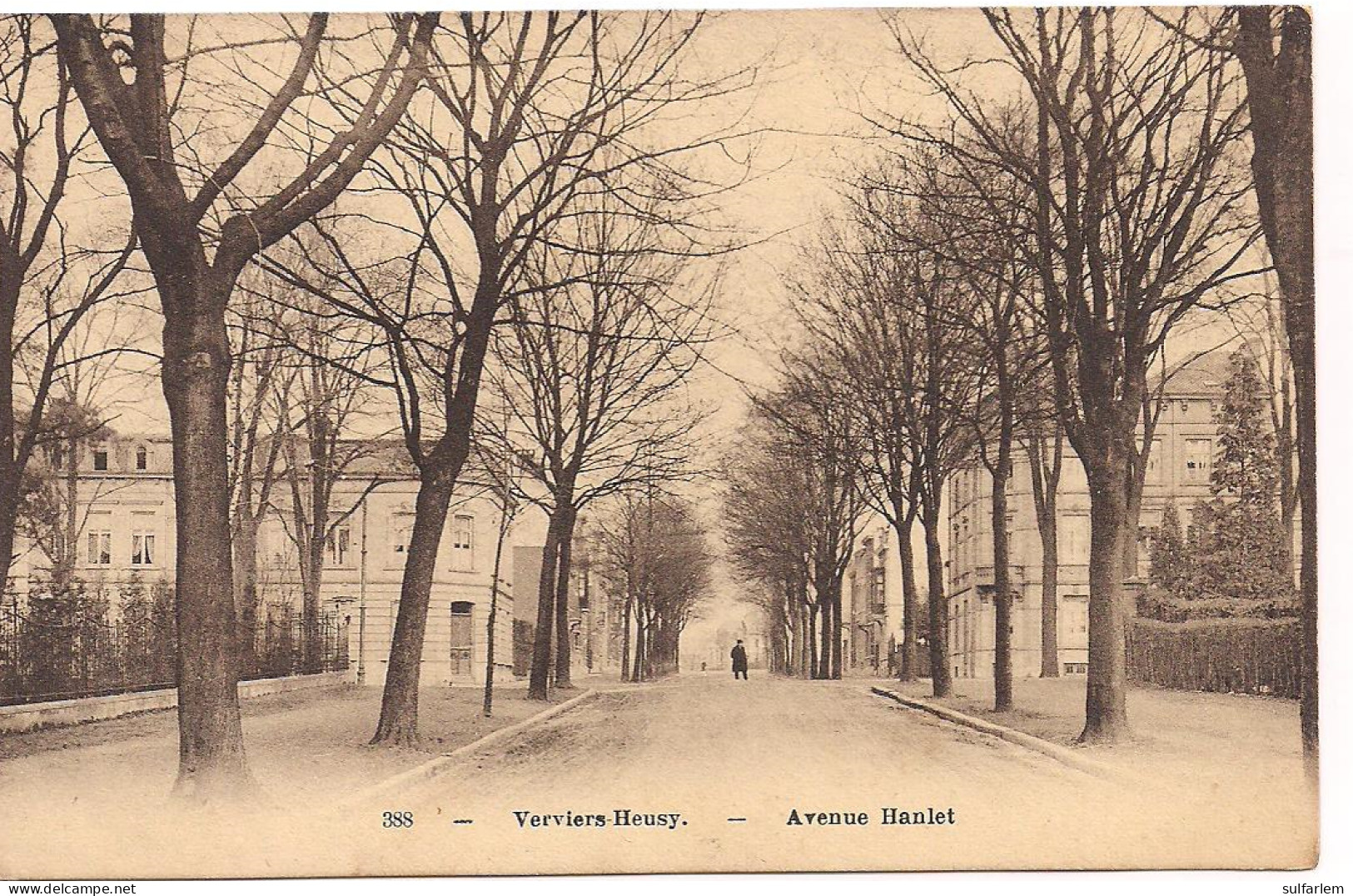 Carte Postale. VERVIERS HEUSY. Avenue Hanlet. - Verviers