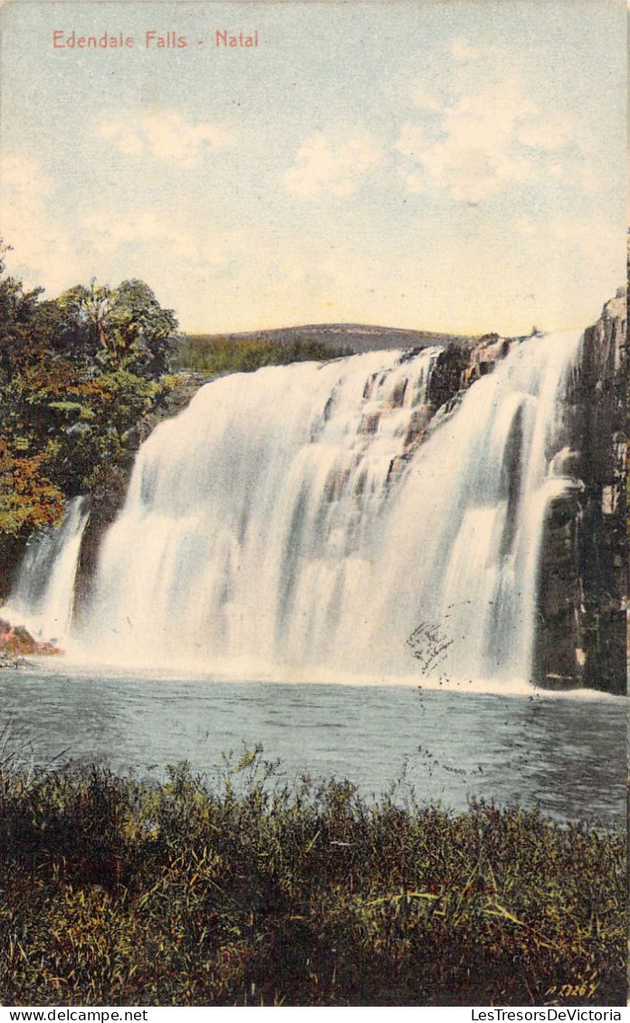 AFRIQUE DU SUD - Edendale Falls - Natal - Carte Postale Ancienne - Zuid-Afrika