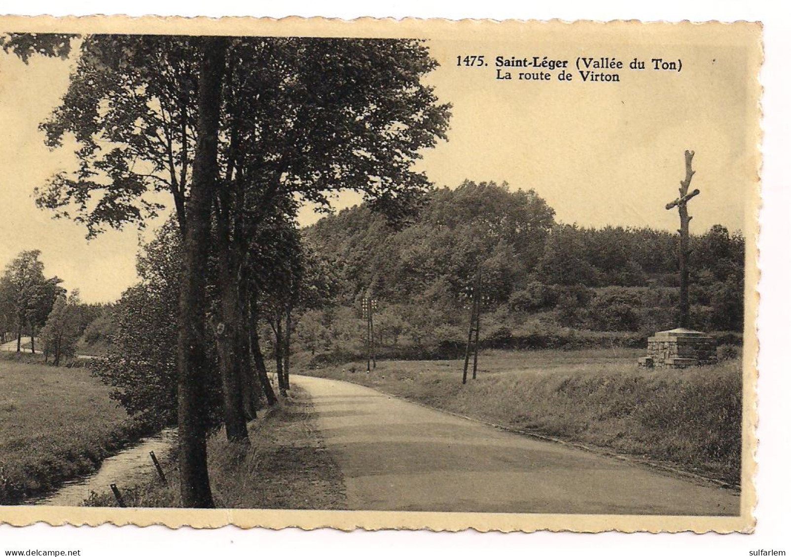 Carte Postale. SAINT LEGER. La Route De Virton. - Saint-Léger