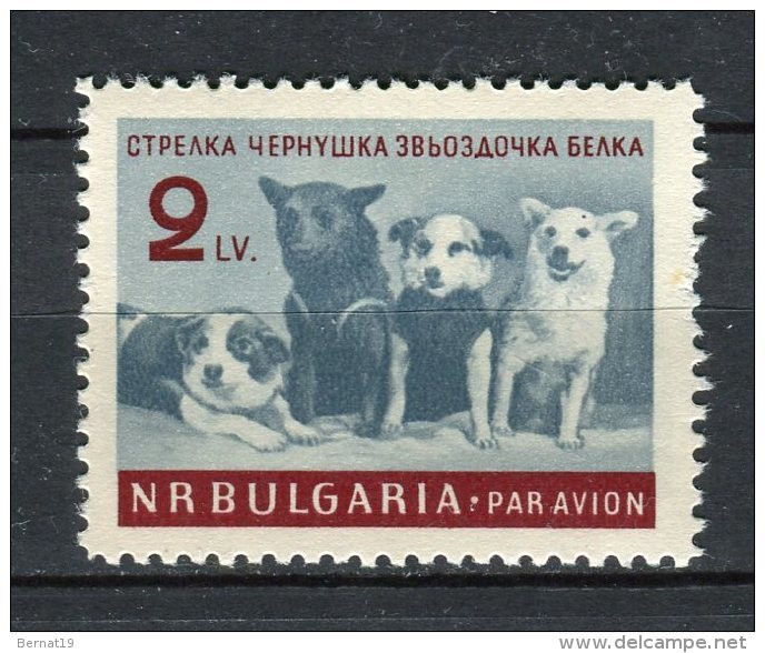 Bulgaria 1961. Yvert A 81 ** MNH. - Airmail