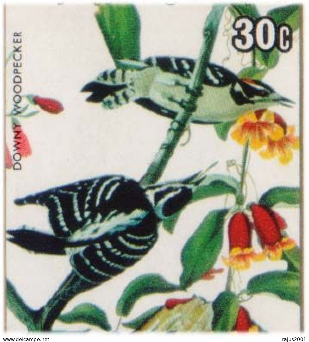 White Crowned Sparrow, Downy Woodpecker Bird, Birds, Animal Golden Border Stamp FDC - Sparrows