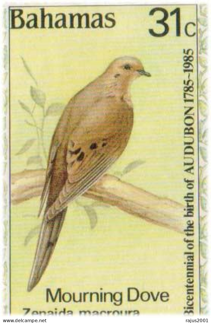 Mourning Dove, Carolina Chickadee Black Capped Titmouse Bird, Birds, Animal, Audubon FDC - Passeri