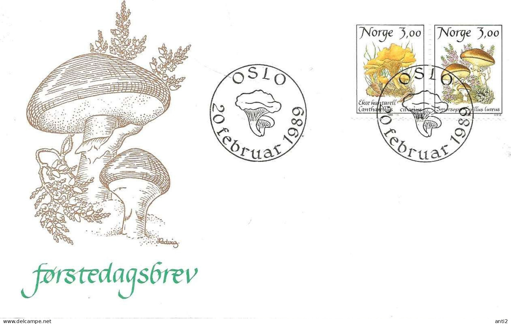 Norway 1989 Mushrooms. Golden Chanterelle (Cantharellus Cibarius) And Butterpilz (Suillus Luteus), Mi  1012-1013 FDC - Lettres & Documents