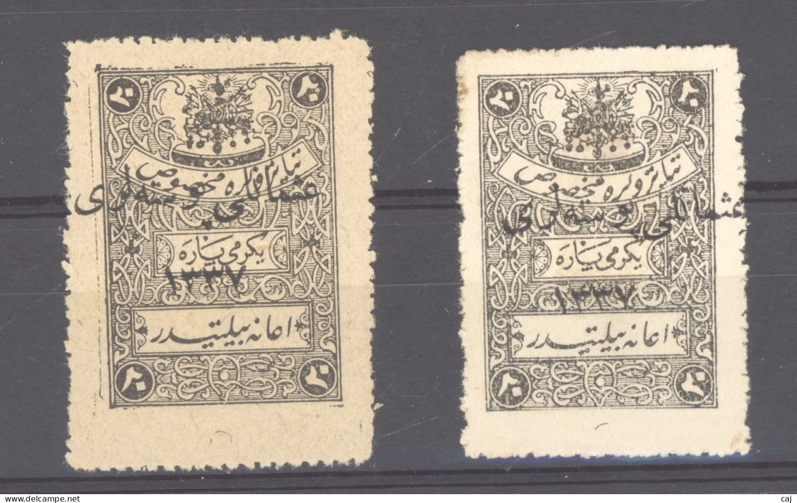 Turquie -  Anatolie  :  Yv  29-29a  *  Papier épais - 1920-21 Anatolie