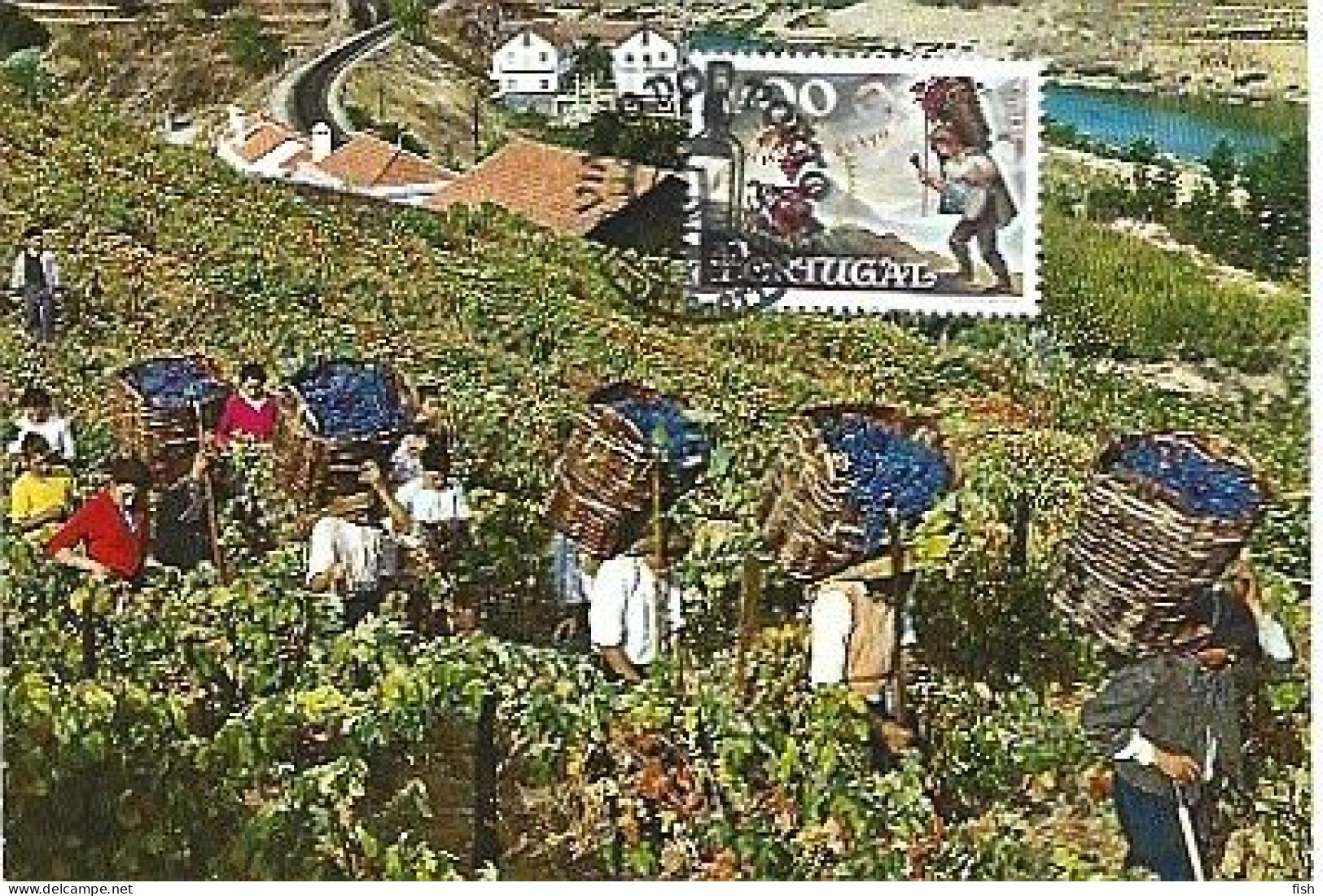 Portugal & Maximum Card, Douro Harvest, Port Wine 1970 (51) - Agriculture