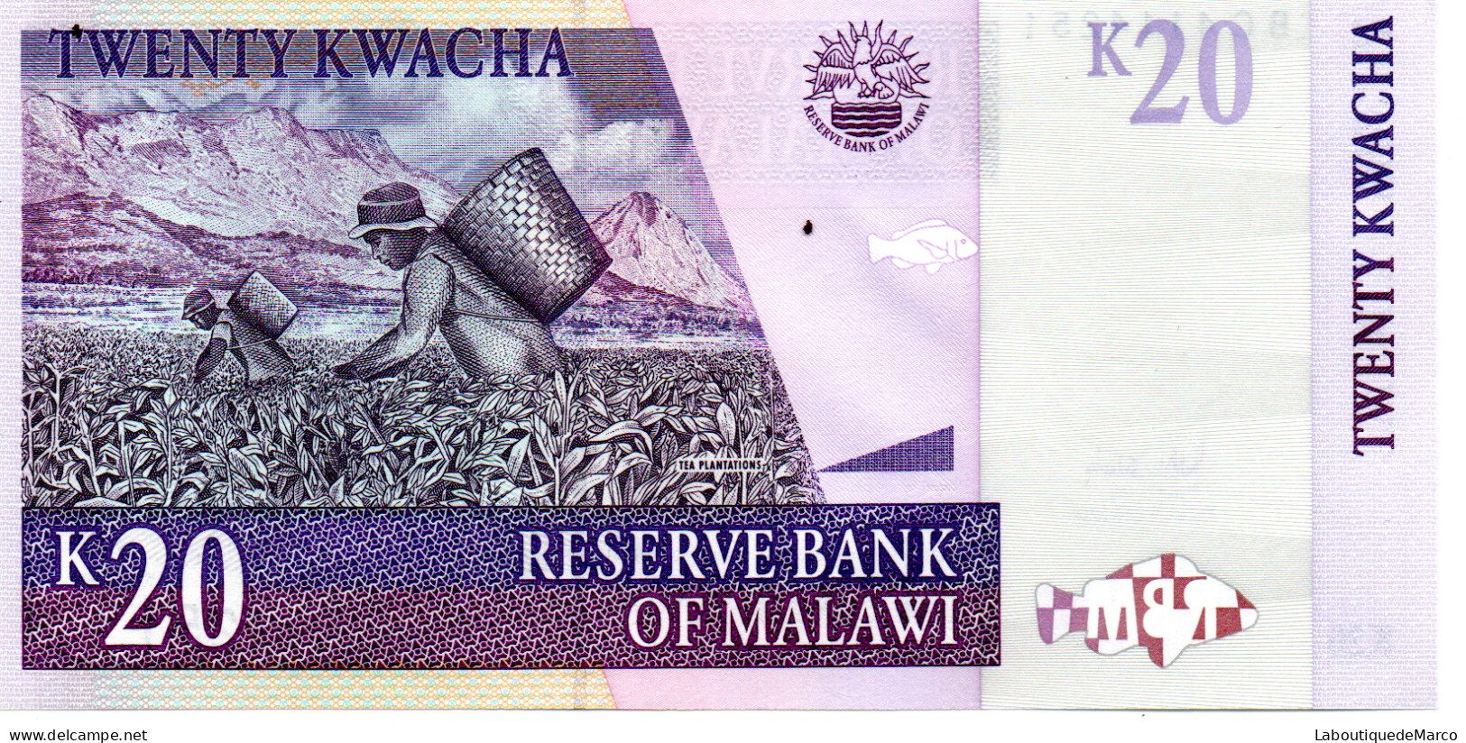 Malawi - Pk N° 52c - 20 Kwacha - Malawi