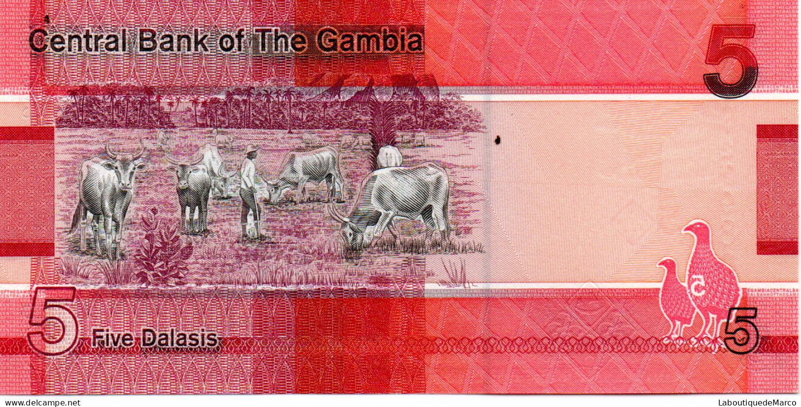 Gambie - Pk N° 37 - 5 Dalasis - Gambia