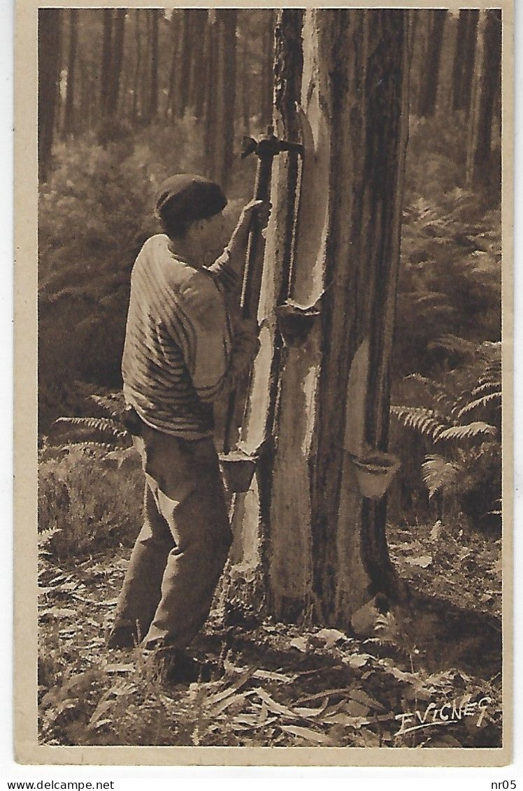 ELECTRICITE - GAZ De FRANCE - COLONIE De VACANCES - CCOS BISCAROSSE Plage ( Landes ) CP 1950 Pour Moutiers Le Mauxfait - Other & Unclassified