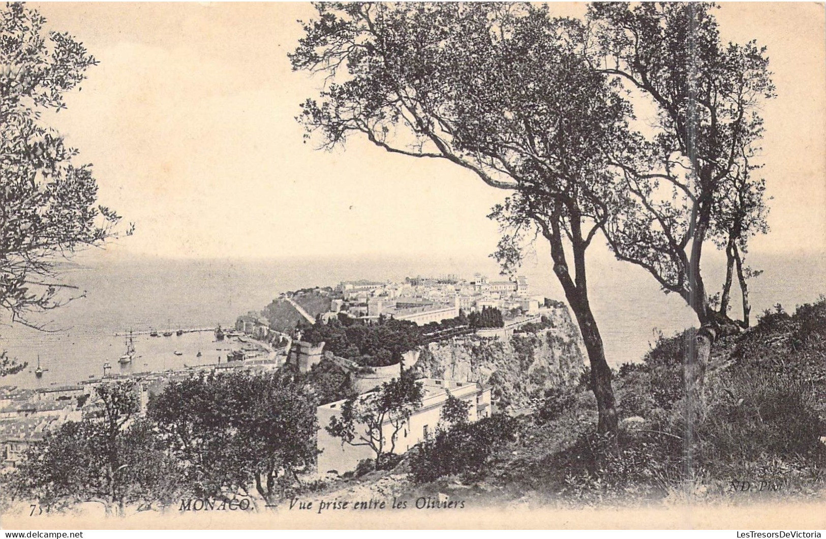 MONACO - Vue Prise Entre Les Oliviers - Carte Postale Ancienne - Andere & Zonder Classificatie