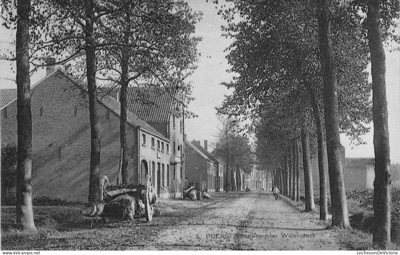 Belgique - Puers - Steenweg Naar Willebroeck - Barté D'Hooghe - Ste An Belge  - Carte Postale Ancienne - Puurs