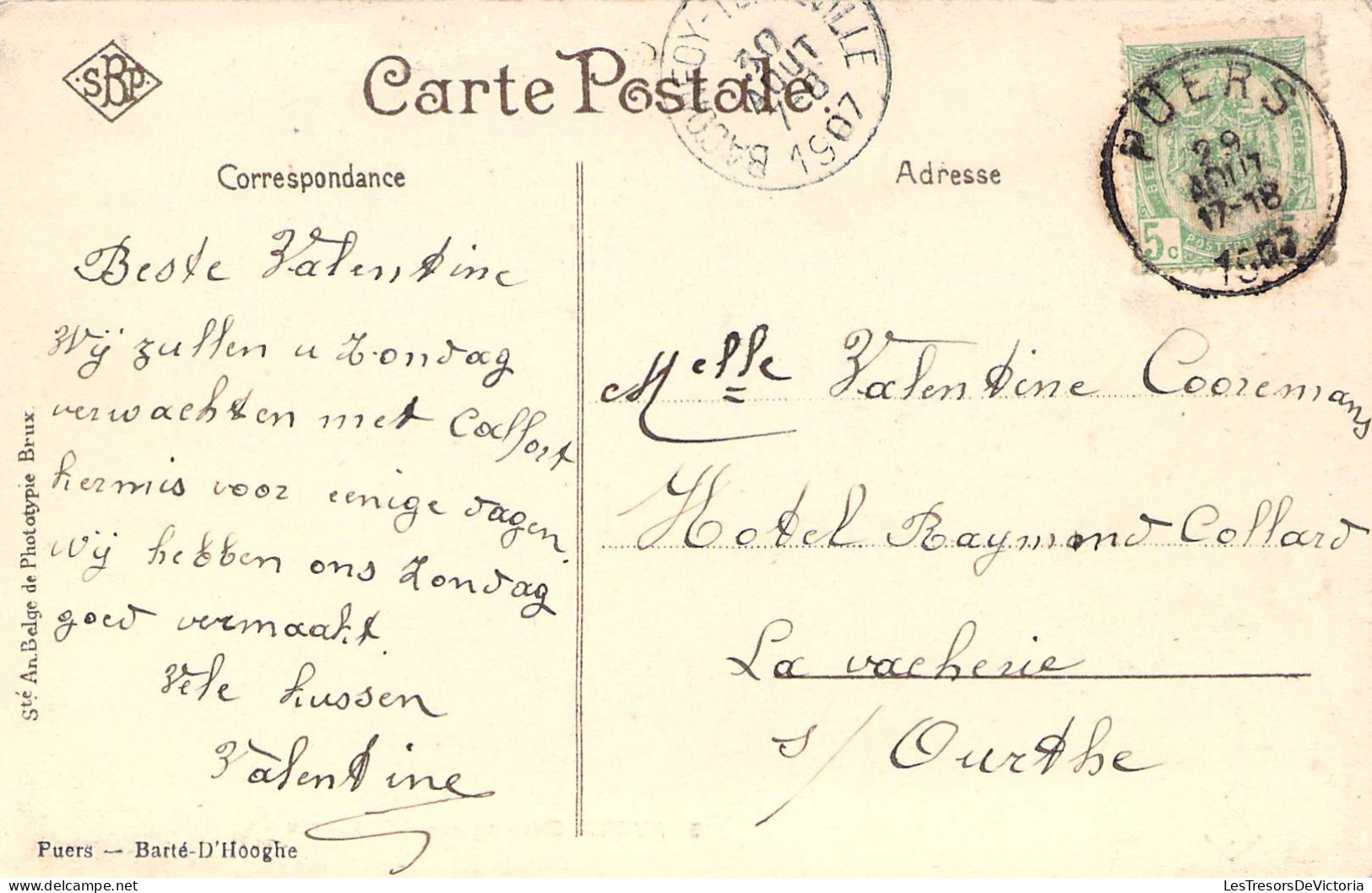 Belgique - Puers - Steenweg Naar Willebroeck - Barté D'Hooghe - Ste An Belge  - Carte Postale Ancienne - Puurs