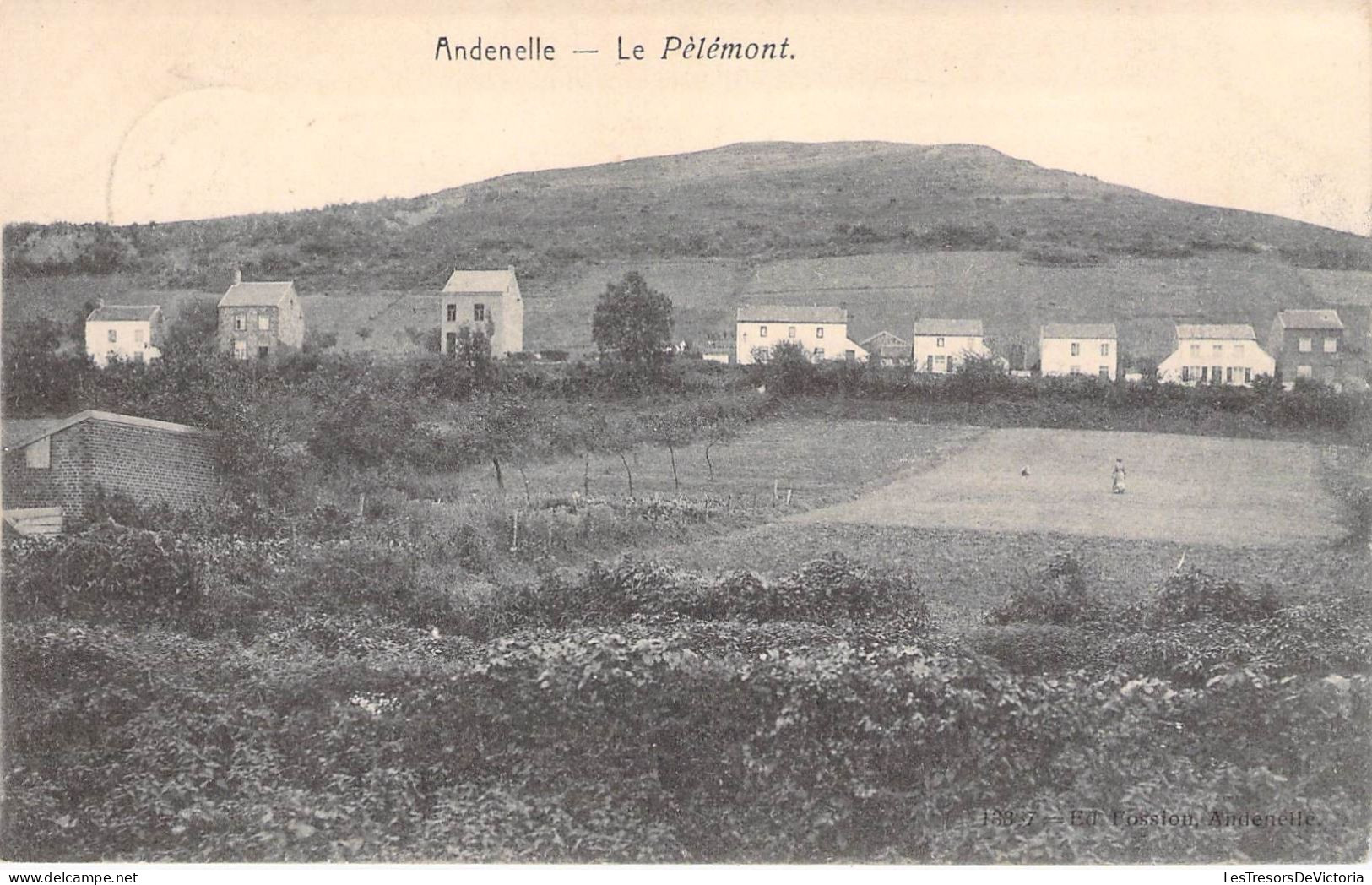 Belgique - Andenelle - Le Pélémont - Oblitéré Andenne 1908 - Carte Postale Ancienne - Andenne