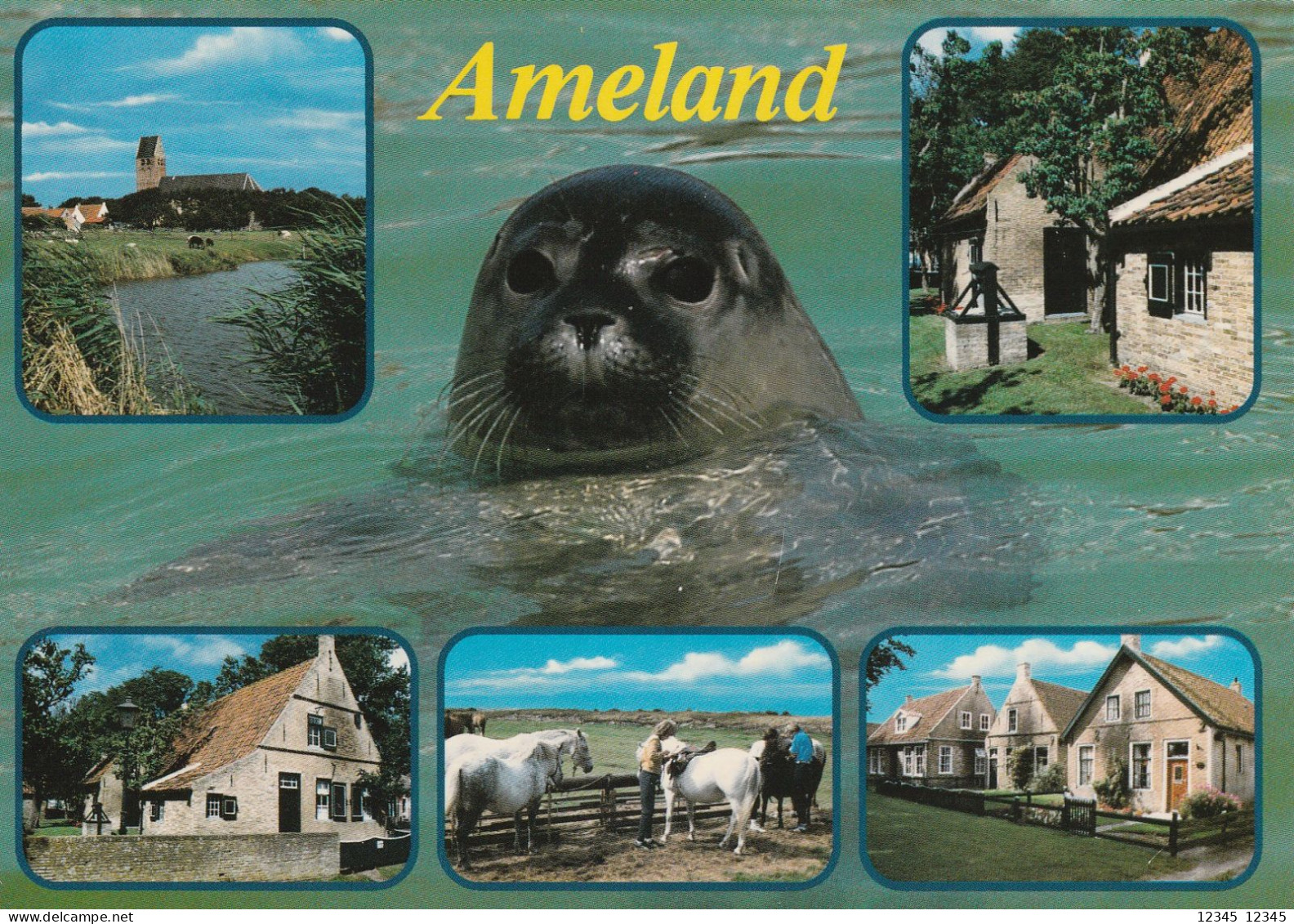 Ameland - Ameland