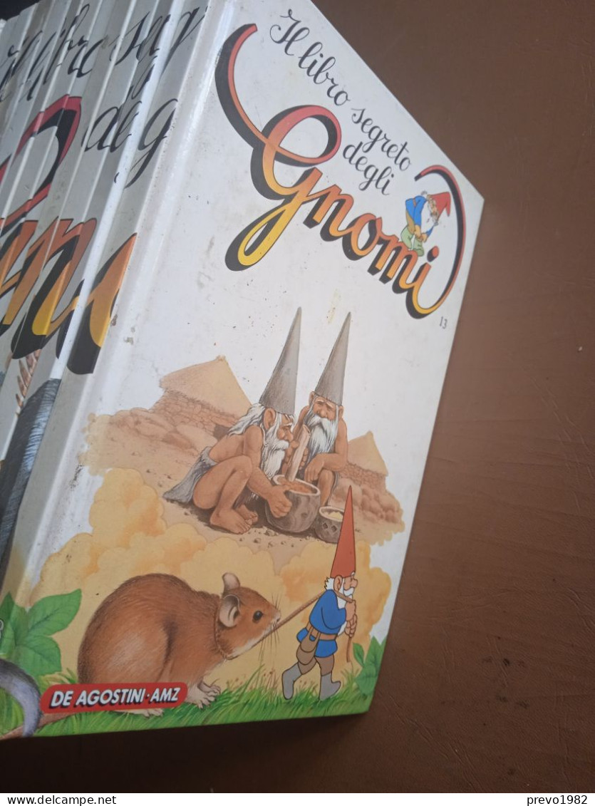 Volumi Sfusi !!!  Il Libro Degli Gnomi - Ed. DeAgostini AMZ - Niños Y Adolescentes