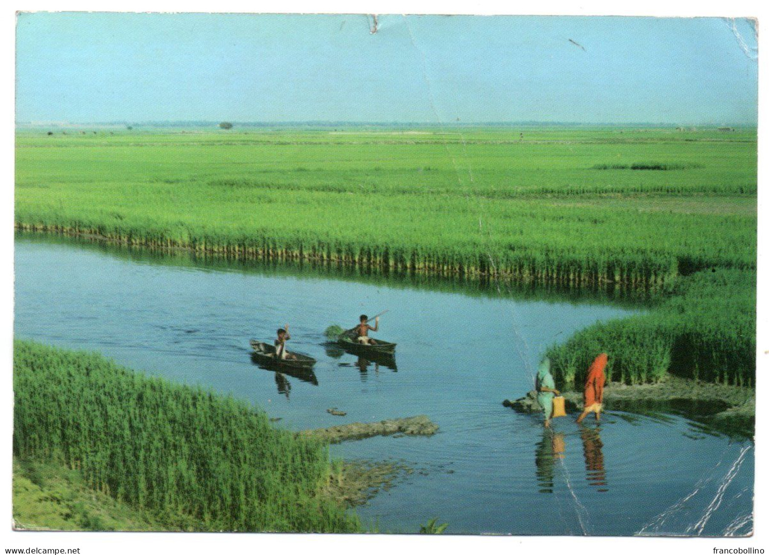 BANGLADESH - THE GREEN, GREEN FIELDS - Bangladesh