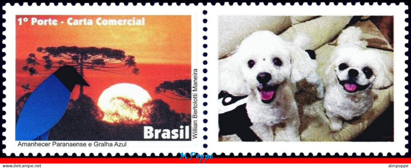 Ref. BR-3203-3FO BRAZIL 2011 - DAWN PARANA, BLUE JACKDAW,BIRDS,DOGS,SHEET PERSONALIZED MNH, ANIMALS, FAUNA 12V Sc# 3203 - Gepersonaliseerde Postzegels