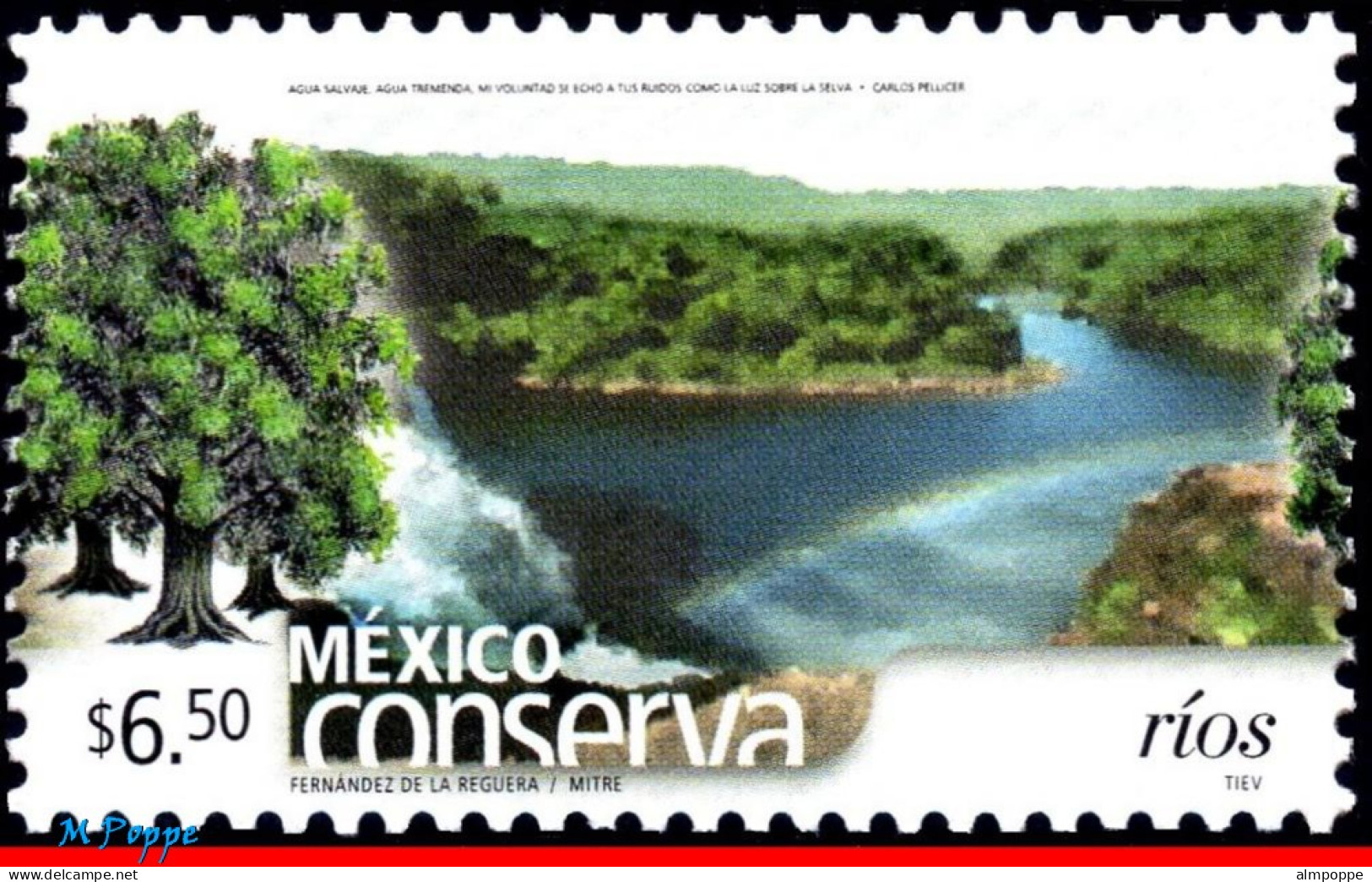 Ref. MX-2459 MEXICO 2005 - CONSERVATION, RIVERS,TREE, (6.50P), MNH, NATURE 1V Sc# 2459 - Autres & Non Classés