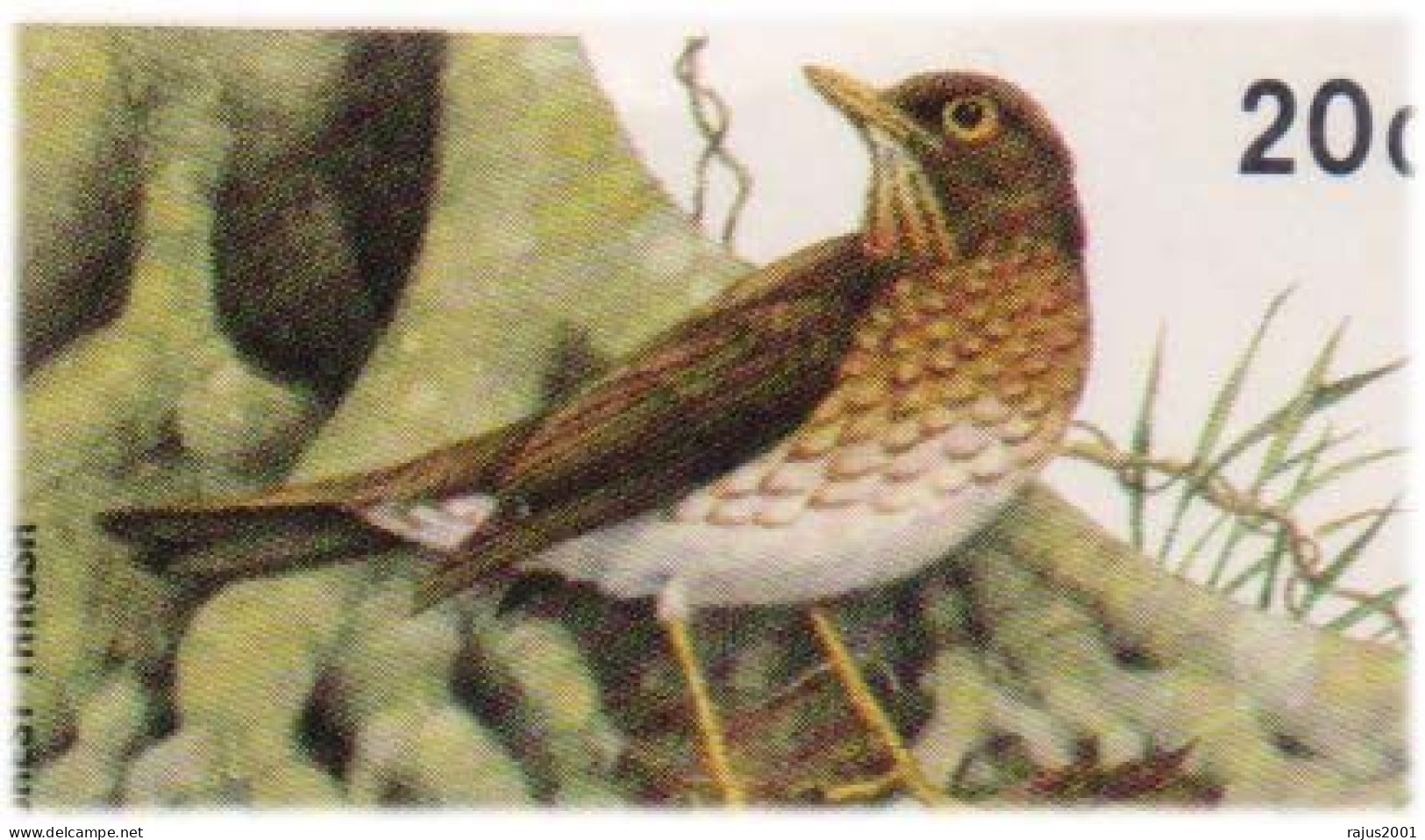 Birds Of Dominica, Forest Thrush Bird, Stolid Flycatcher Bird, Beautiful Bird, Birds, Animal  FDC - Moineaux