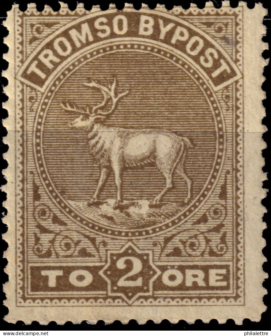 NORVÈGE / NORWAY - Local Post TROMSØ 2öre Drab (1882) - Mint* - Emissioni Locali