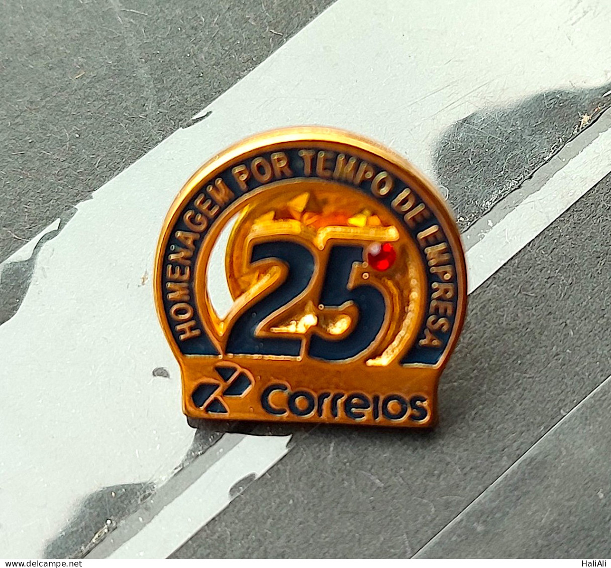 Pin Broche Correios 25 Anos - Brooches