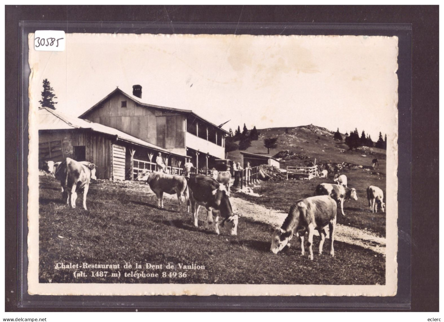 FORMAT 10x15cm - DISTRICT DE LA VALLEE - CHALET DE LA DENT DE VAULION - VACHES - TB - Vaulion