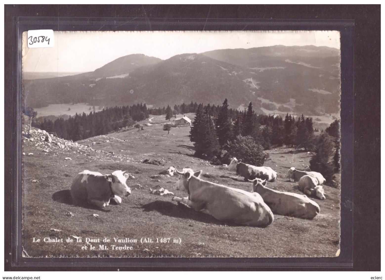 FORMAT 10x15cm - DISTRICT DE LA VALLEE - CHALET DE LA DENT DE VAULION - VACHES - TB - Vaulion