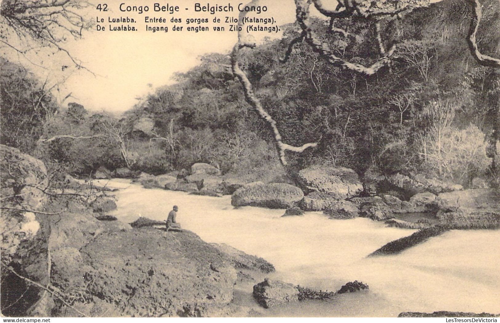 CONGO - Le Lualaba - Entrée Des Gorges De Zilo - Carte Postale Animée - Autres & Non Classés