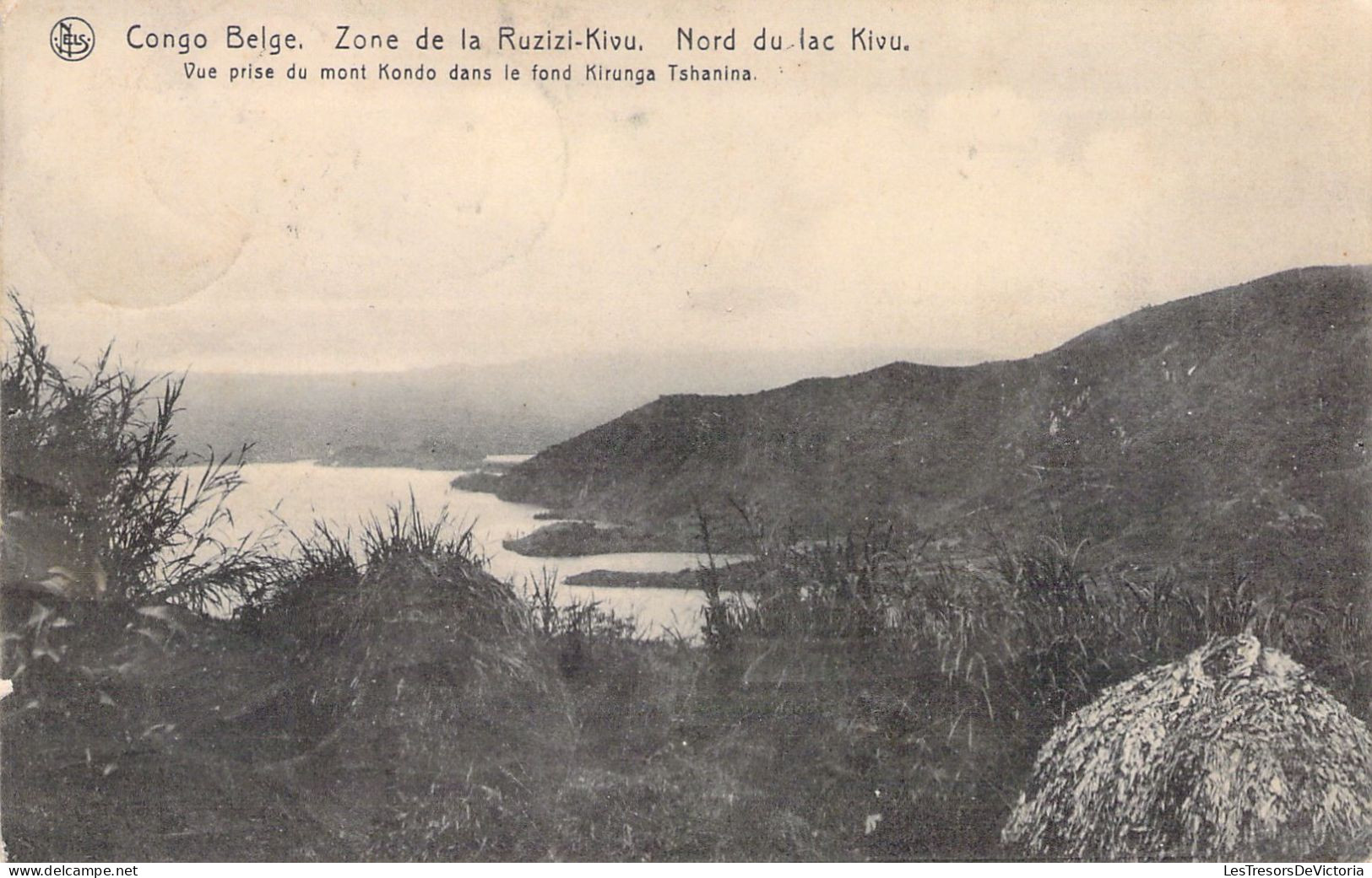 CONGO - Zone De La Ruzizi Kivu - Nord Du Lac Kivu - Carte Postale Animée - Autres & Non Classés