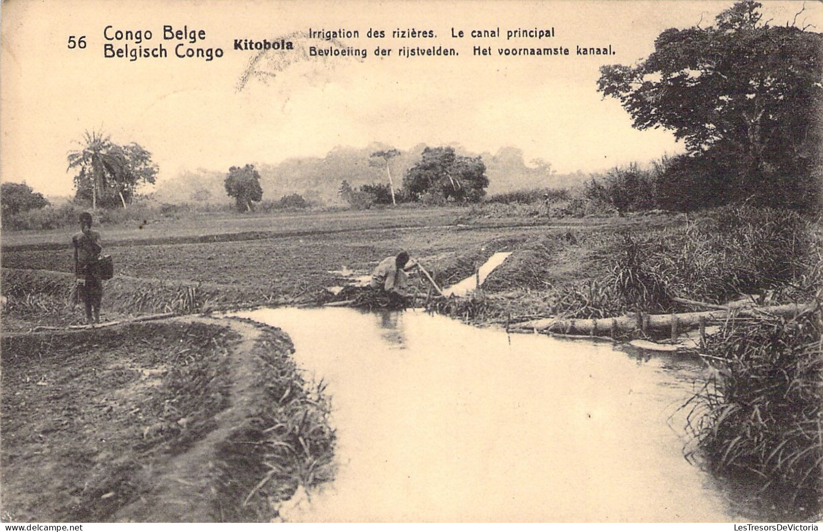 CONGO - Irrigation Des Rizières - Le Canal Principal - Carte Postale Animée - Sonstige & Ohne Zuordnung