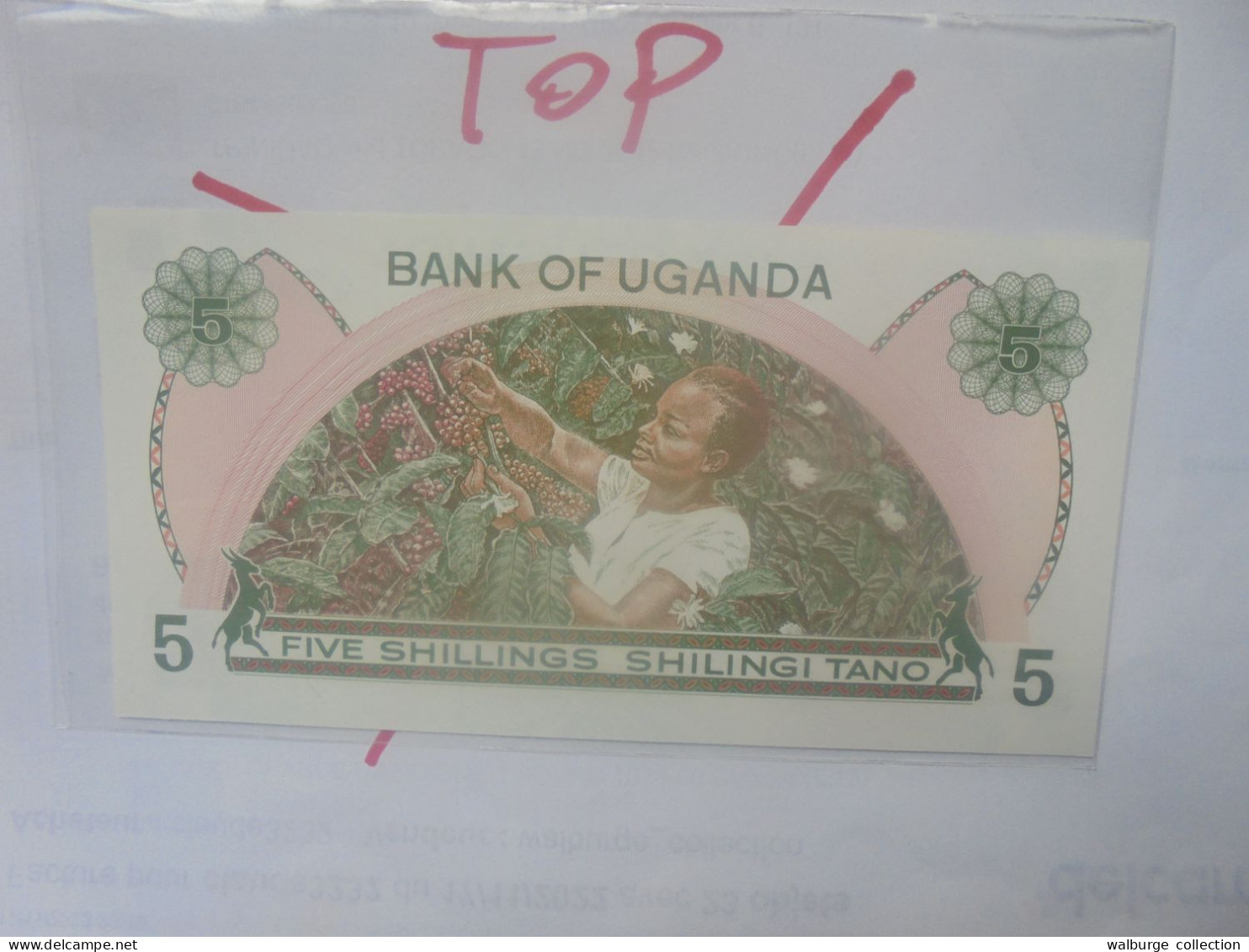 OUGANDA 5 SHILLINGS 1982 Neuf/UNC (B.29) - Ouganda