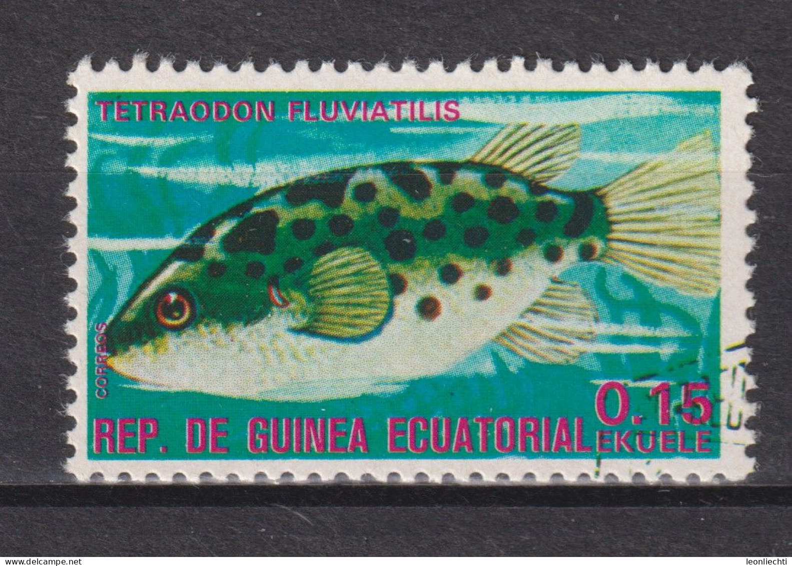 1975 Äquatorial-Guinea, Mi:GQ 690, Yt:GQ  72-C,  Fishes (I) Exotic, Green Pufferfish (Tetraodon Fluviatilis) - Guinée Equatoriale