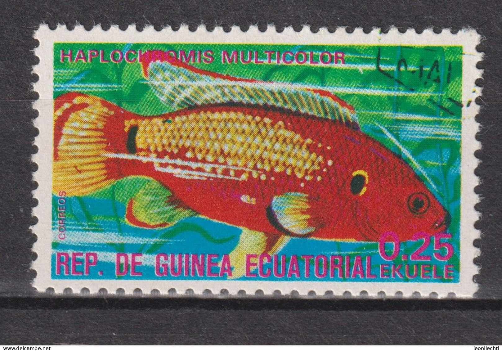 1975 Äquatorial-Guinea, Mi:GQ 692, Yt:GQ  72-E,  Fishes (I) Exotic, Egyptian Mouthbrooder (Haplochromis Multicolor) - Guinée Equatoriale