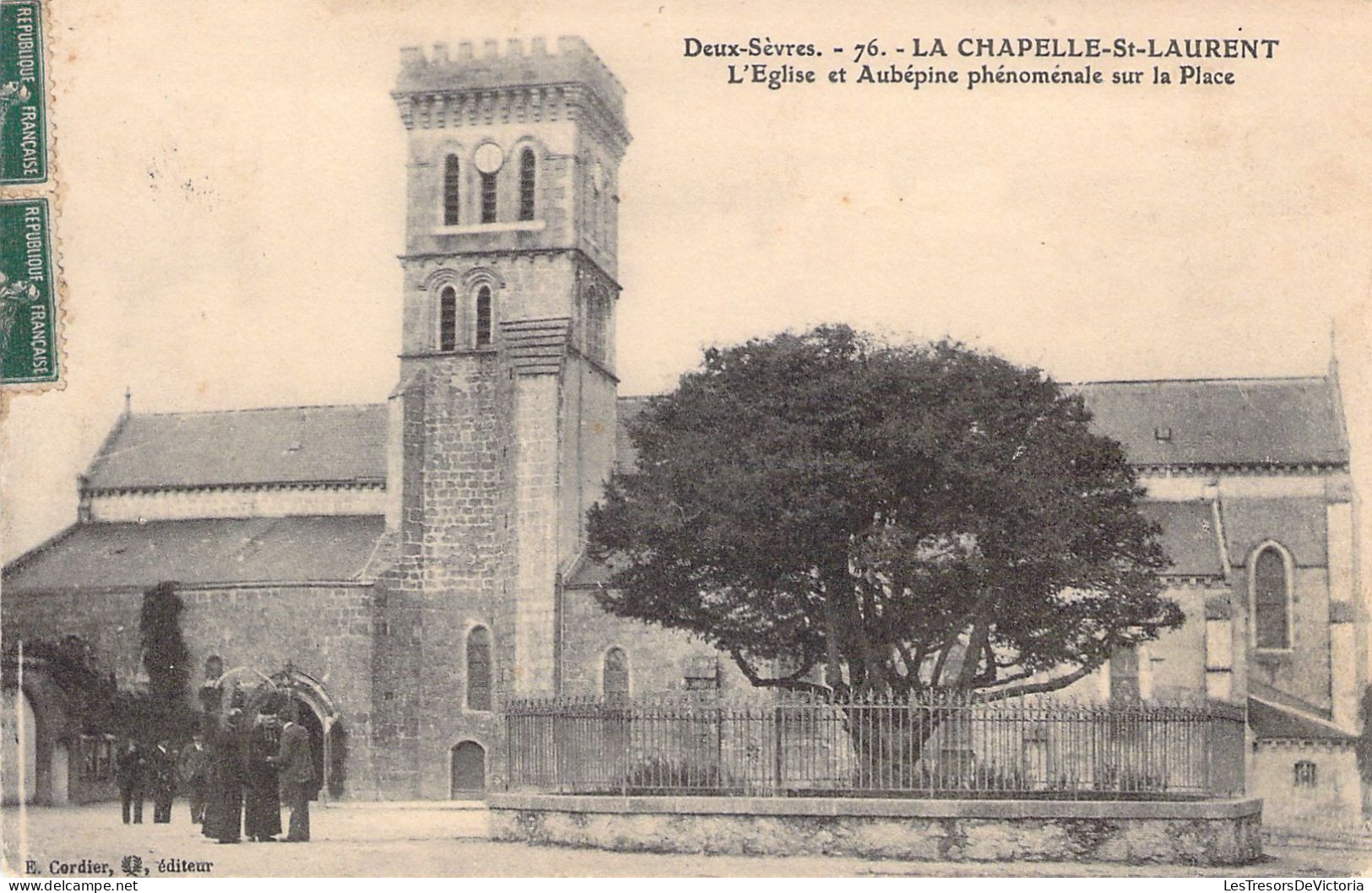 FRANCE - 79 - LA CHAPELLE ST LAURENT - L'Eglise Et Aubépine Phénoménale Sur La Place - Carte Postale Ancienne - Sonstige & Ohne Zuordnung