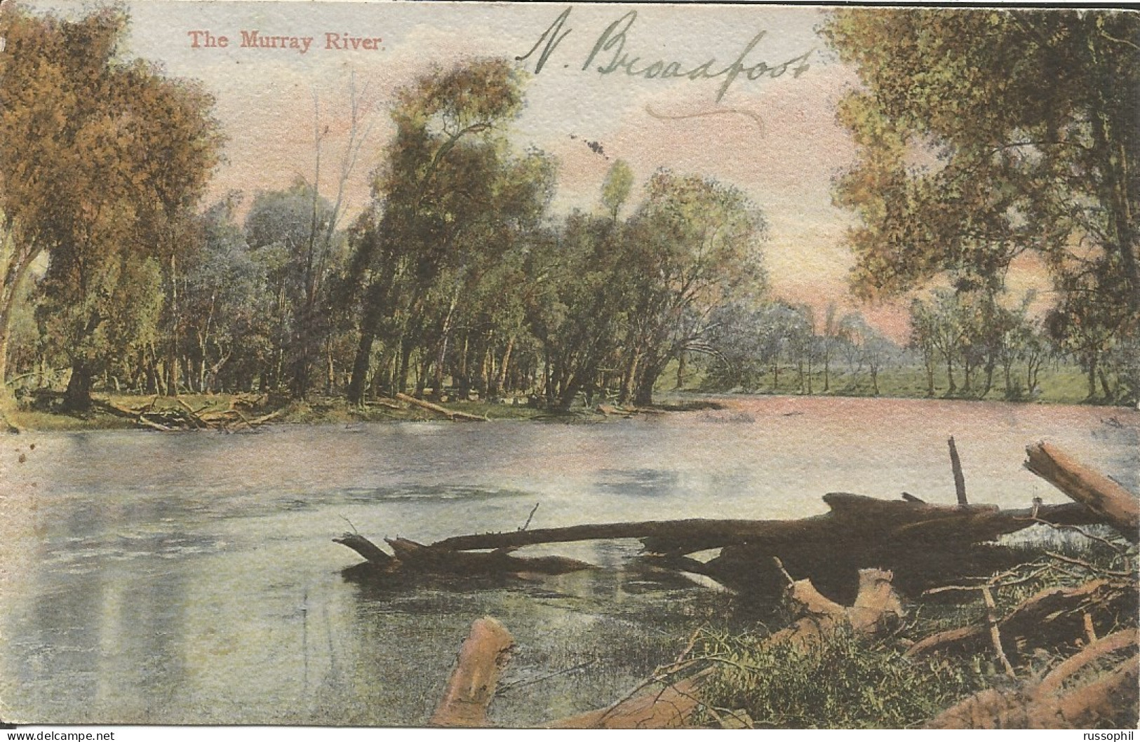 AUSTRALIA - NSW - THE MURRAY RIVER - 1907 - Albury