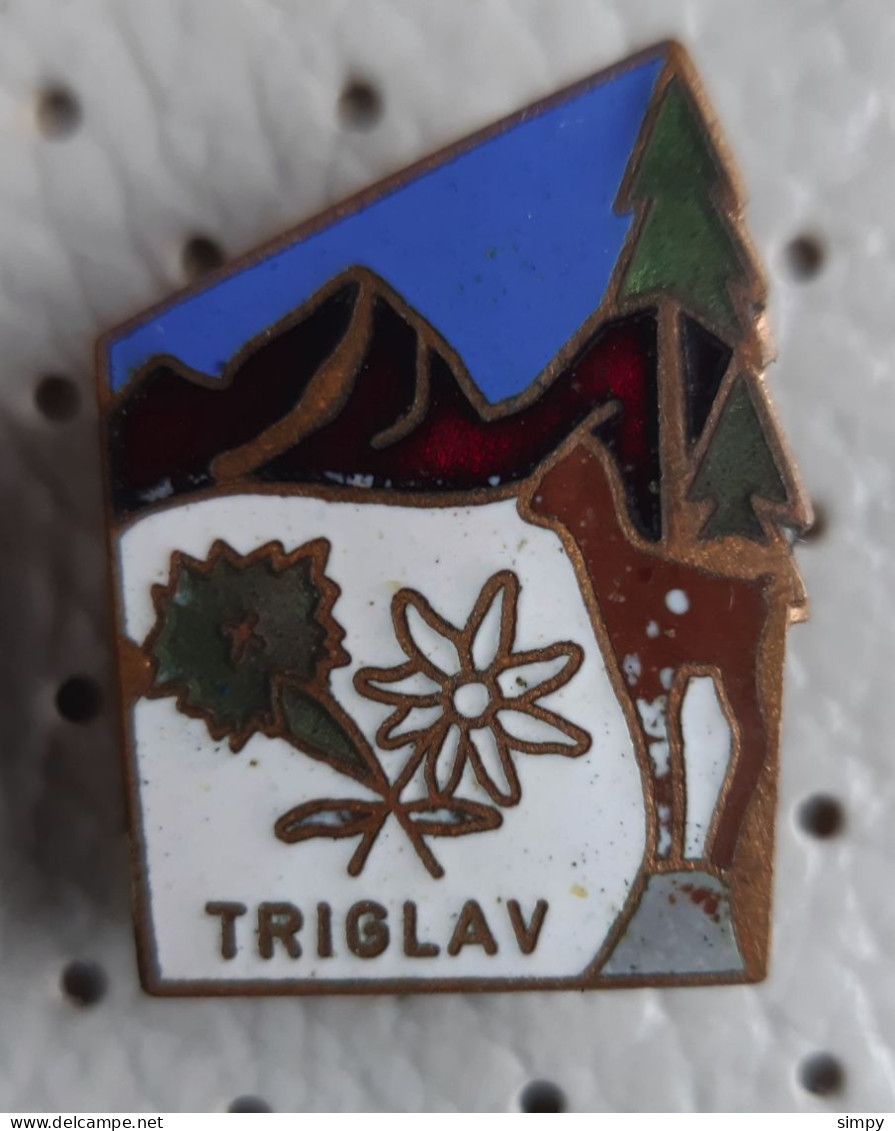 Triglav Alpinism, Mountaineering Slovenia Vintage Enamel  Pin - Alpinisme