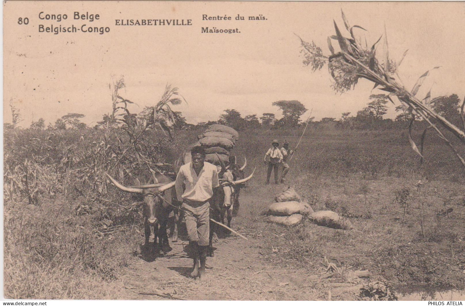 Congo Belge Entier Illustré 30ct Cocotiers CAD Matadi 1922 CPA Elisabethville Rentrée Du Maïs - Cartas & Documentos