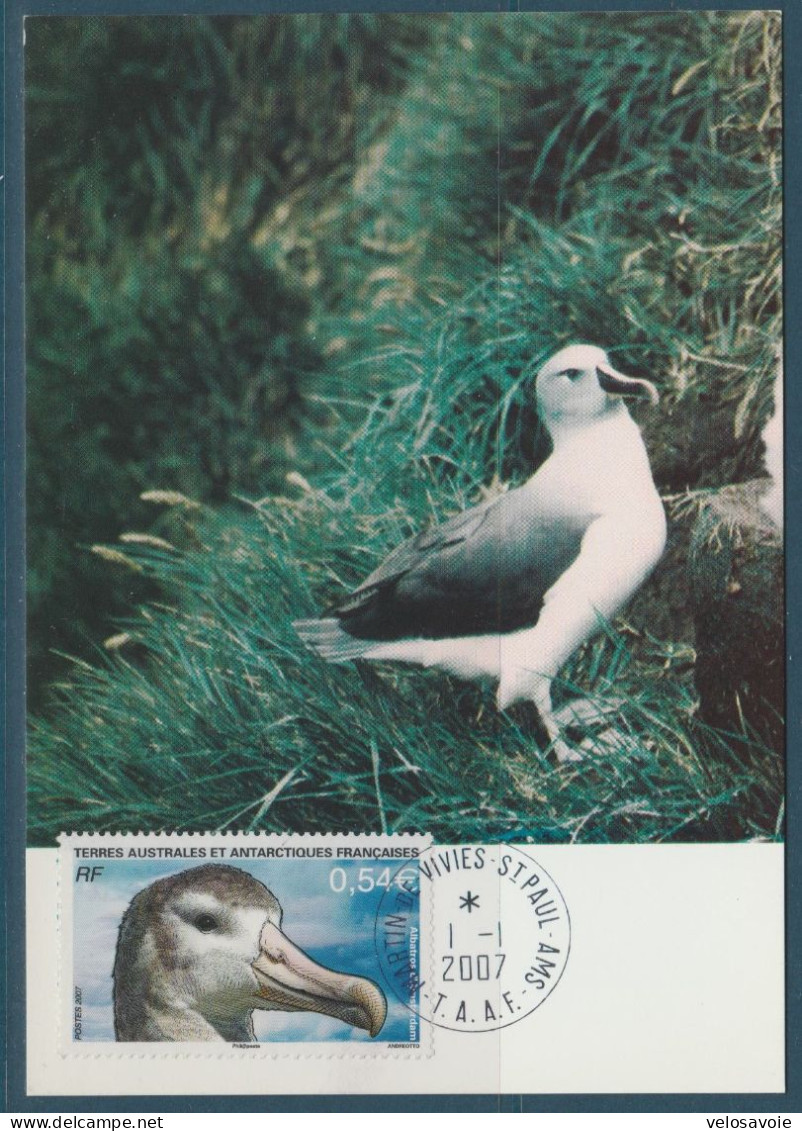 TAAF N° 464/468 OISEAUX SUR 5 CARTES MAXIMUM - FDC