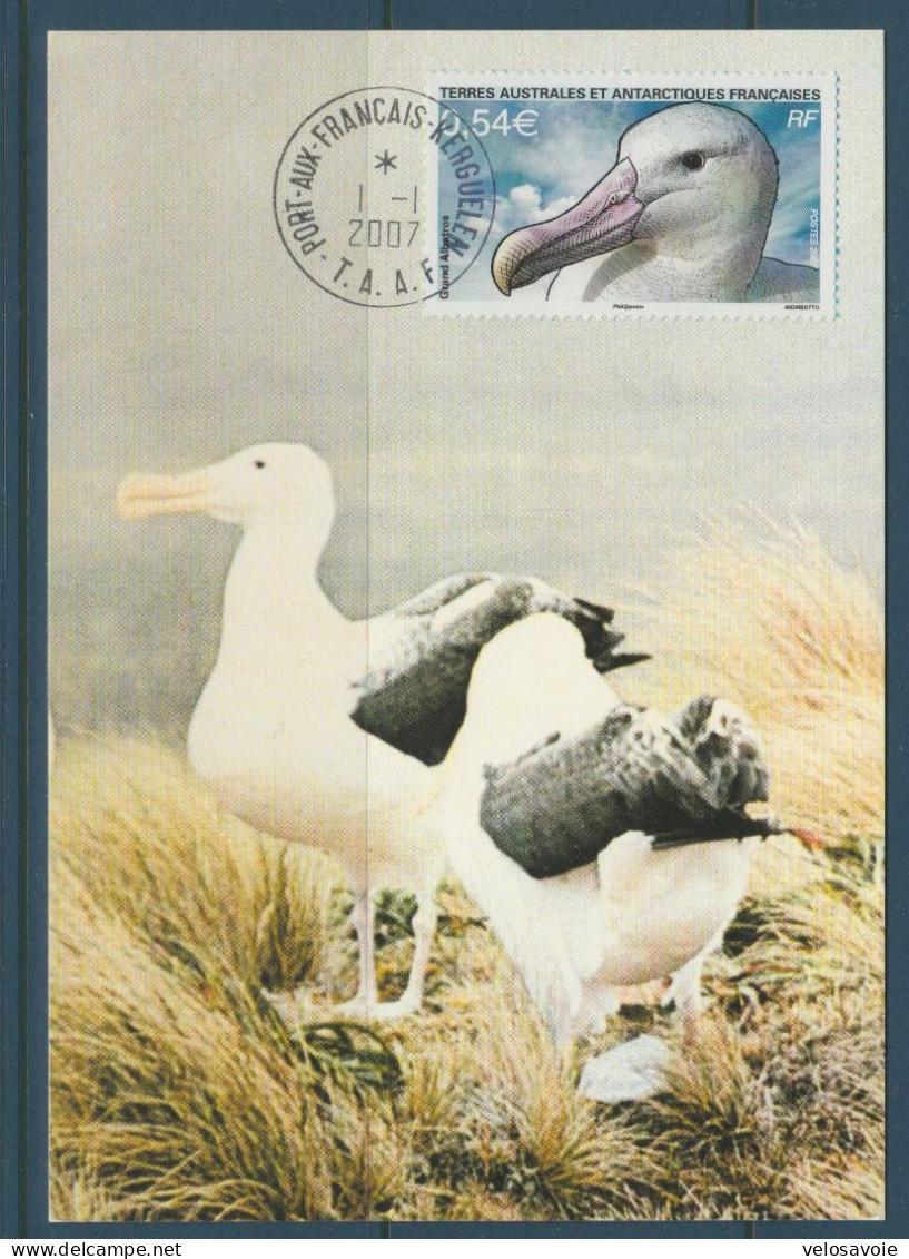 TAAF N° 464/468 OISEAUX SUR 5 CARTES MAXIMUM - FDC