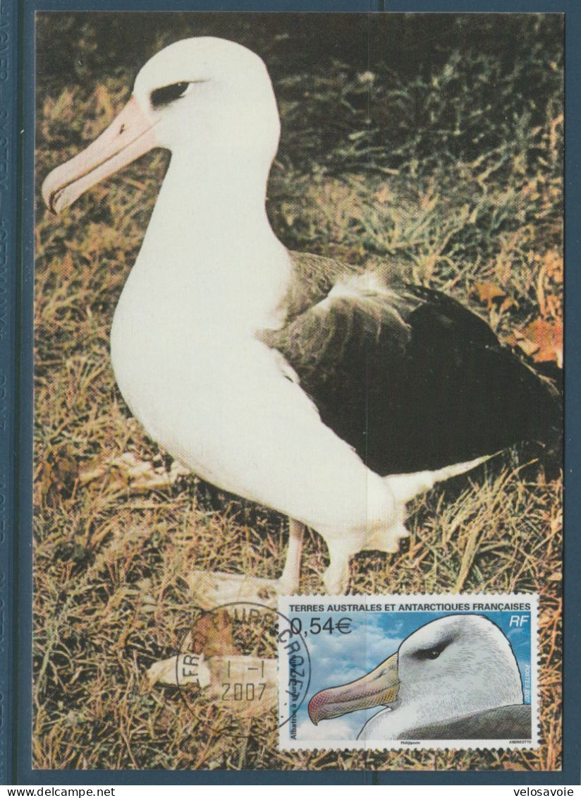 TAAF N° 464/468 OISEAUX SUR 5 CARTES MAXIMUM - FDC