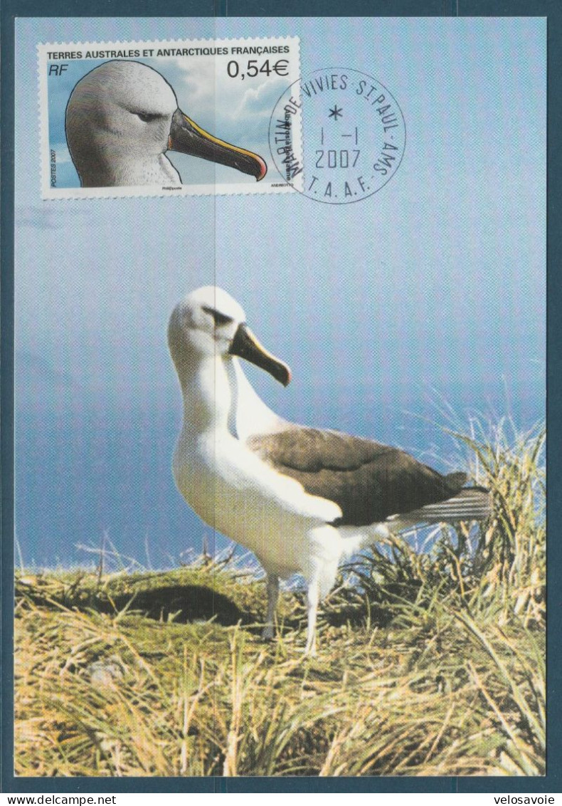 TAAF N° 464/468 OISEAUX SUR 5 CARTES MAXIMUM - FDC