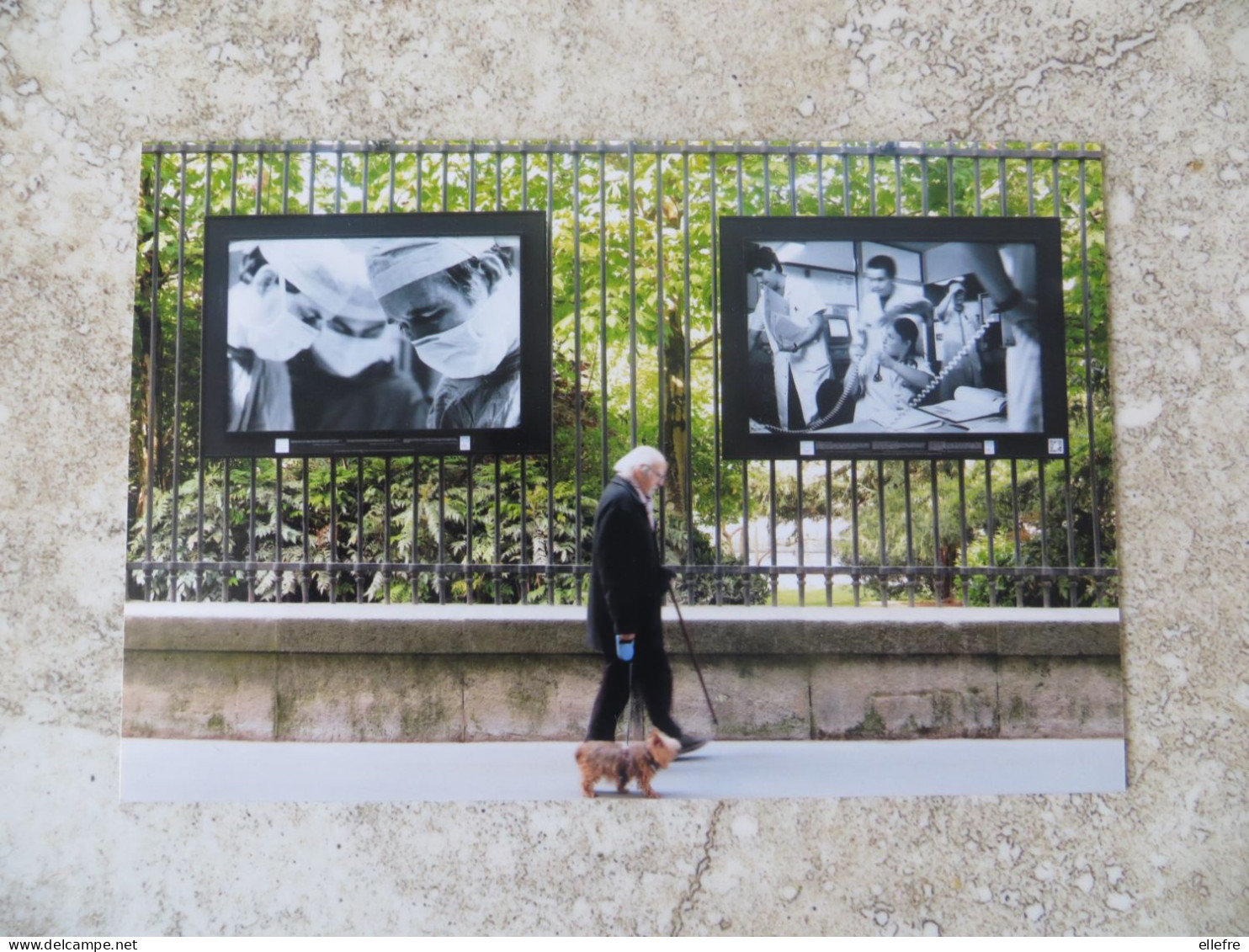 CPM Paris Homme Promenant Son Chien Yorkshire Et Photo Expo Hommage Au Personnel Soignant Avril 2019 ( Période Covid ) - Santé