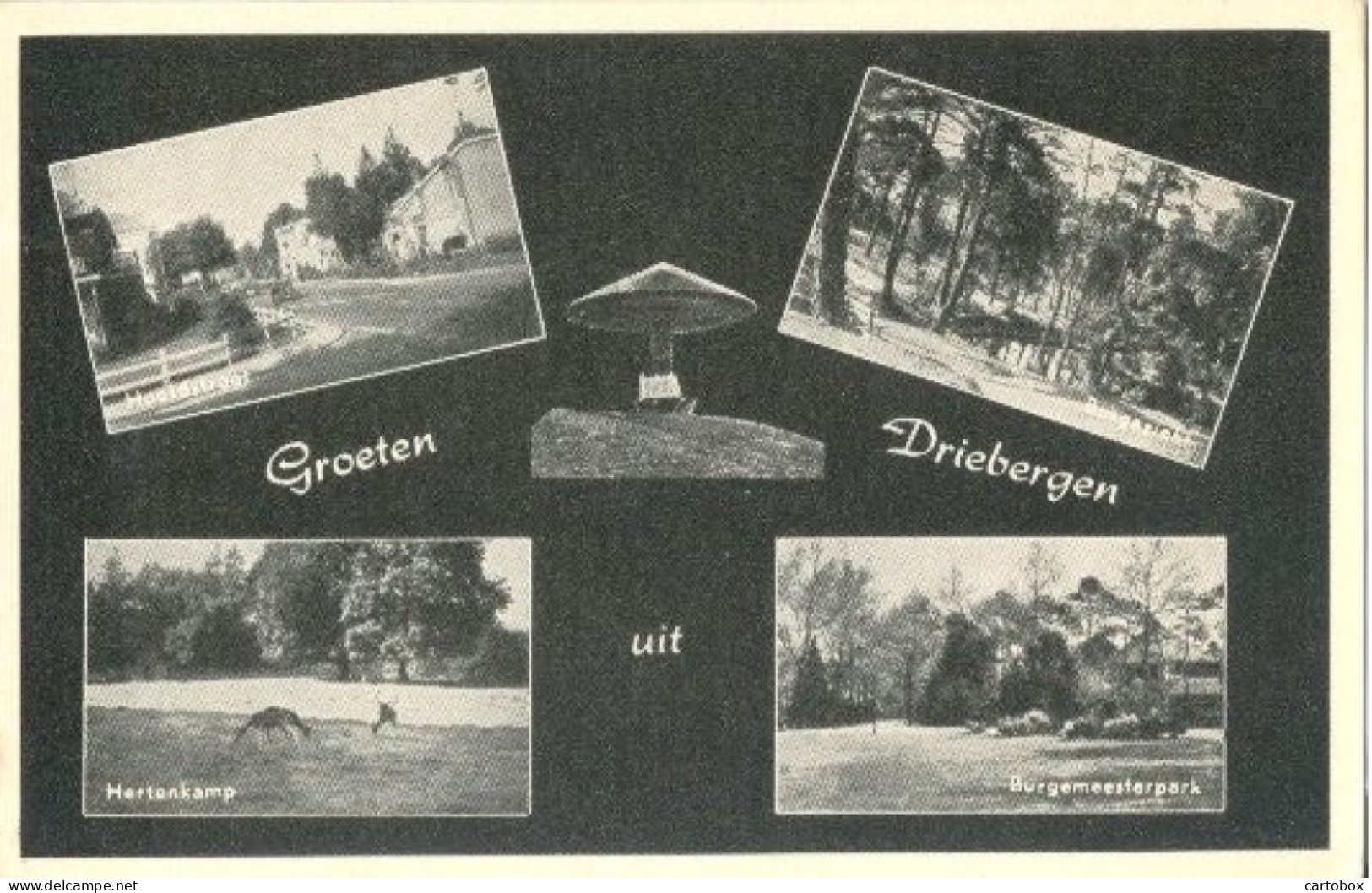 Driebergen, Groeten Uit Driebergen    (Een Raster Op De Kaart Is Veroorzaakt Door Het Scannen; De Afbeelding Is Helder) - Driebergen – Rijsenburg