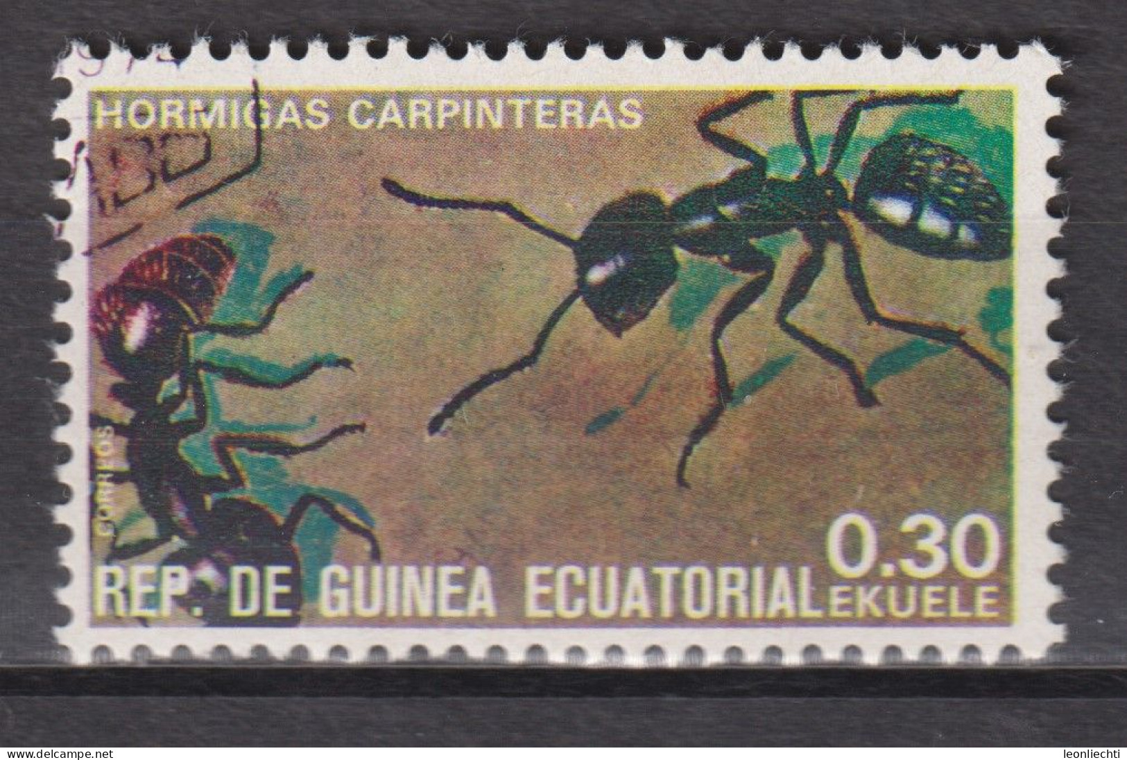 1978 Äquatorial-Guinea, Mi:GQ 1375°, Yt:GQ 115-F, Insekten, Carpenter Ant (Camponotus Sp.) Rossameise - Guinée Equatoriale