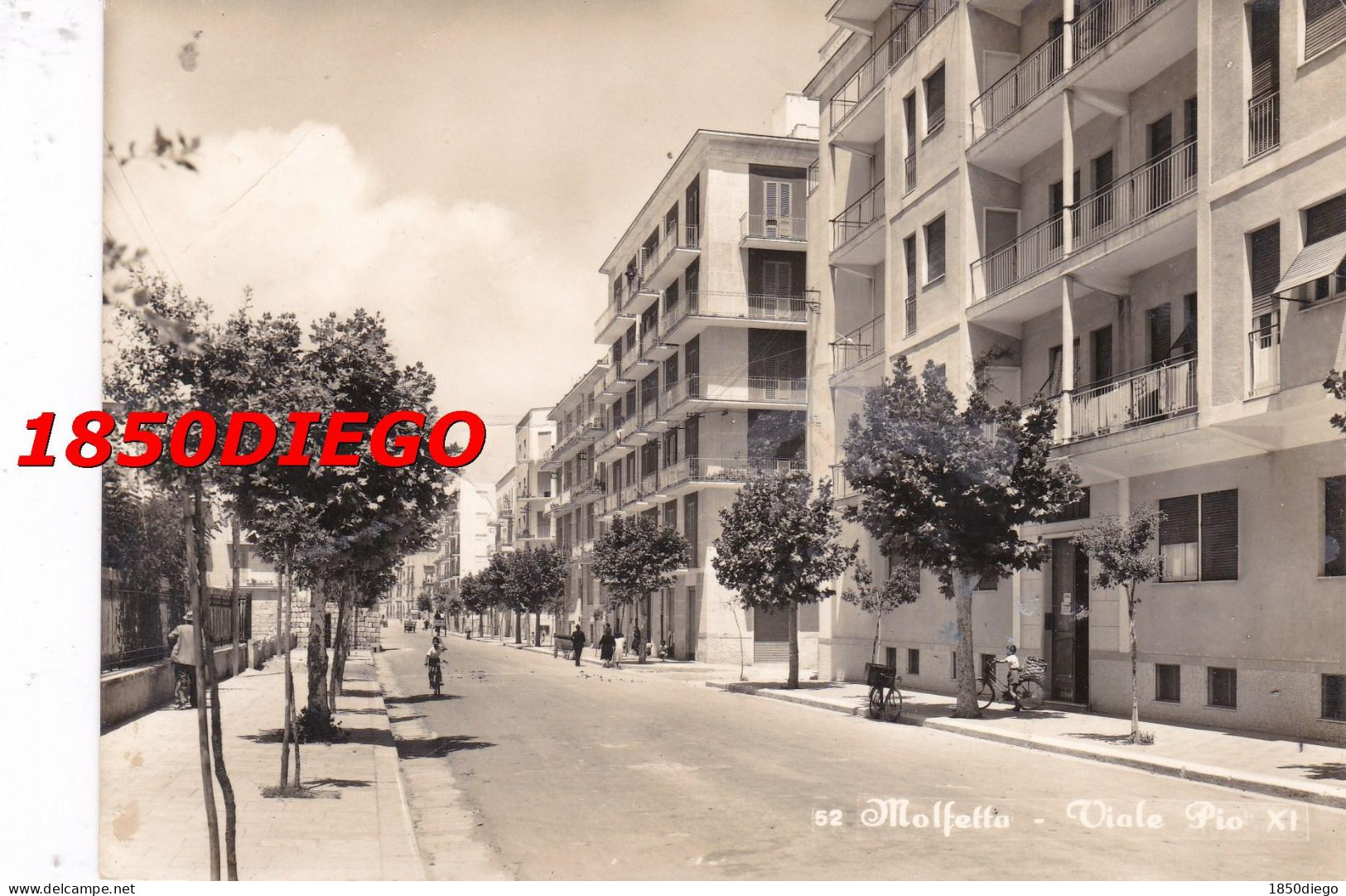 MOLFETTA - VIALE PIO XI F/GRANDE VIAGGIATA  1957 ANIMAZIONE - Molfetta