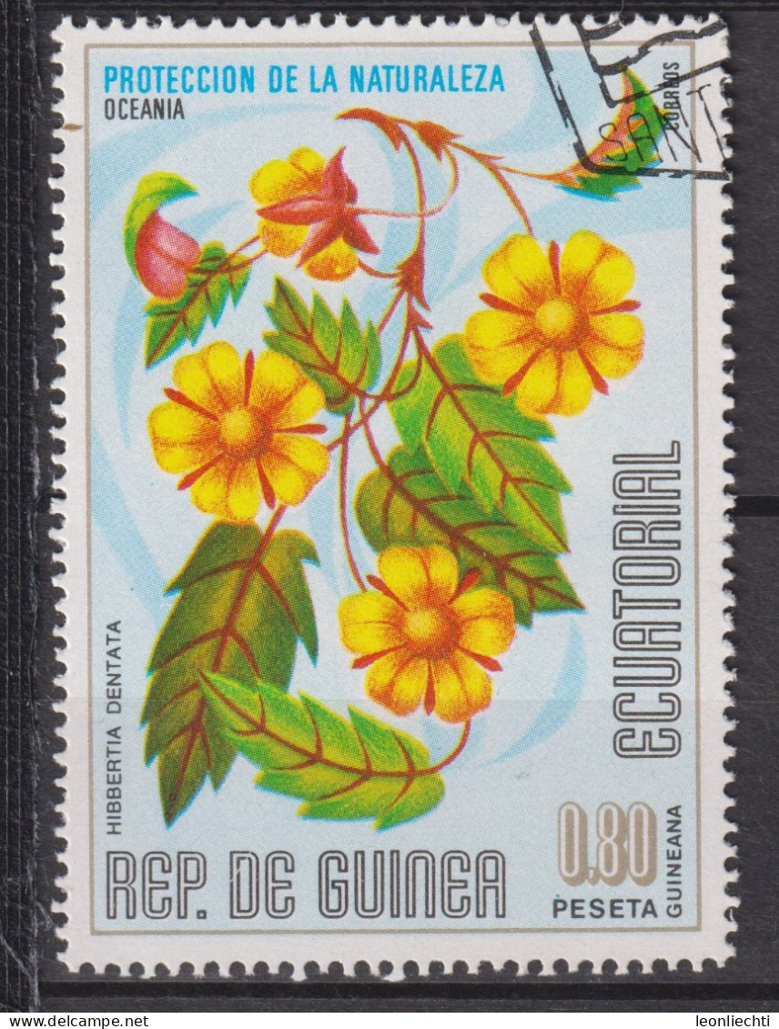 1976 Äquatorial-Guinea, Mi:GQ 920°, Yt:GQ 89-F,  Blumen (II) Ozeanien, Hibbertia Dentata-Hibbertia Gezahnt - Guinée Equatoriale