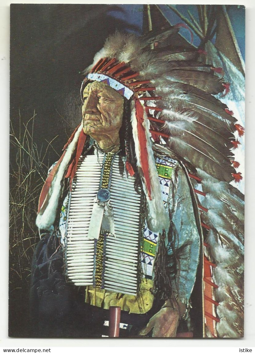 Germany, Radebeul, Karl May Museum, Chief "American Horse",  '70s. - Radebeul